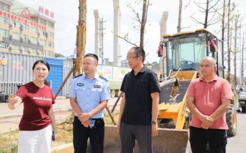 邱斌到金湖路督办区人大代表建议办理情况