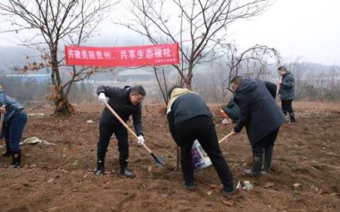 新岁植新绿 共绘生态画卷