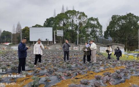 省自然资源厅到观山湖区指导检查违法用地整治工作
