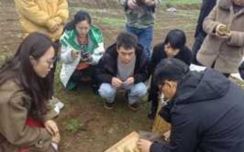 农技深入田间 助推农业发展