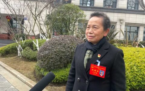 聚焦区两会︱凝聚共识 共谋发展 区人大代表热议政府工作报告