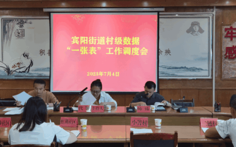 宾阳街道组织召开村级数据“一张表” 工作调度会