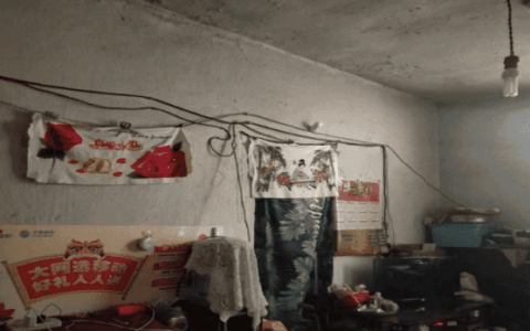 【我为群众办实事】 暖心服务解民忧 安全用电除隐患