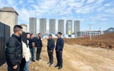 区自然资源局关于组织开展对卫片执法、例行督察、农村乱占耕地违法图斑整改核查工作情况