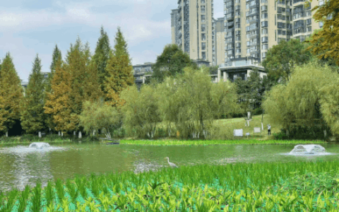 观山湖区阅山湖1号湾区景观改造成效明显