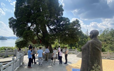 全国绿化委员会、国家林草局领导莅临观山湖区调研指导古树名木保护工作