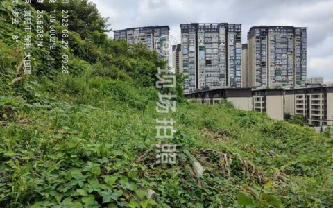 罂粟踏查无死角  禁毒工作不放松