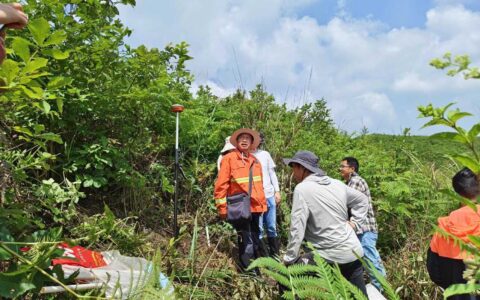 省林业调查规划院到我区指导“林草湿”  样地监测工作