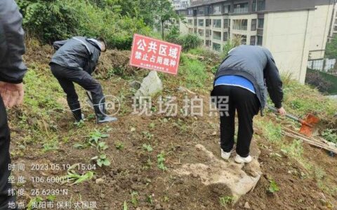 “毁绿开荒”要不得　对违规种菜说“不”