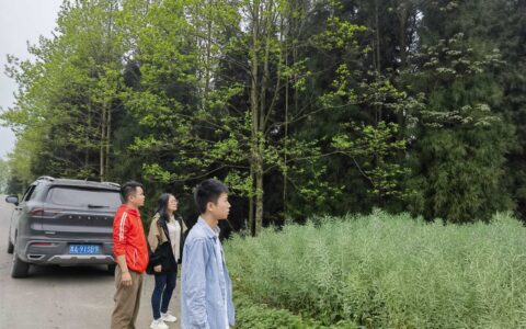 观山湖区自然资源局到百花湖镇开展落实符合条件的园地、灌木林恢复为耕地 试点选址工作
