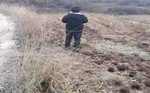 观山湖区全力推进2022年度国土变更调查工作