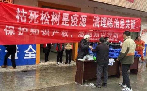 观山湖区开展枯死松树清理知识宣传活动