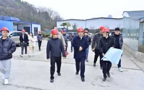 观投集团党委书记、董事长岳亚洪带队调研产投公司文旅产业项目