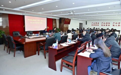 收心聚力开好局 奋楫扬帆谱新篇丨观投集团召开复工复产安排部署专题会