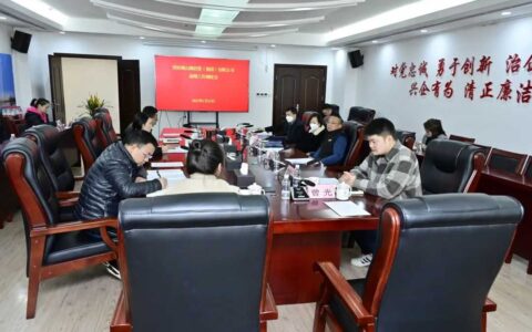 起步提速 开局抢先丨观投集团召开前期工作调度会