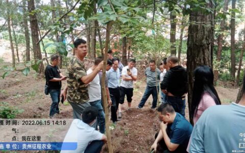 产业帮扶  帮学带动致富