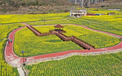 观山湖区：万象“耕”新 勾勒农业产业发展蓝图