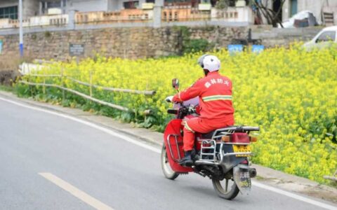 观山湖区：紧盯“三个重点” 做好森防工作