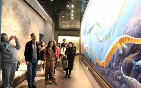 欧亚国家媒体看贵州｜从城市印记中品观山湖的“千姿百态”