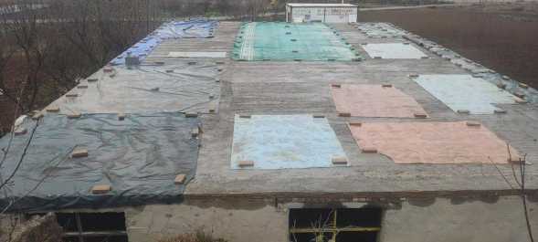 金华镇人民政府关于无主违法建筑物的公告