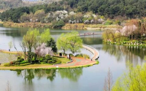 观山湖区：以文化为媒 以旅游为载体 激发文旅融合新活力