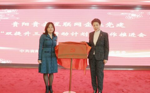 观山湖区互联网行业党委正式揭牌