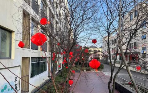 新春走基层|区养老服务中心：全方位关爱守护最美“夕阳红”