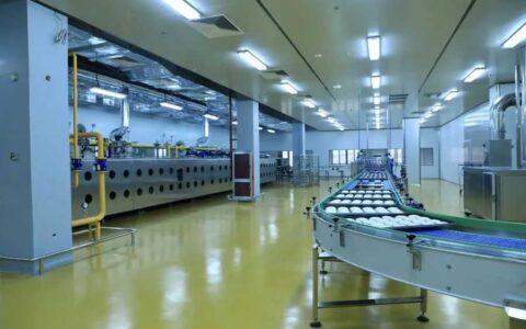 华莱士在观山湖区正式投产 全力跑好2023年开局“第一棒”