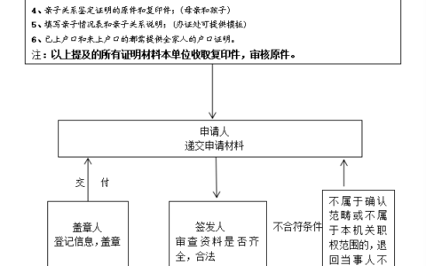 出生医学证明机构外首次签发流程图