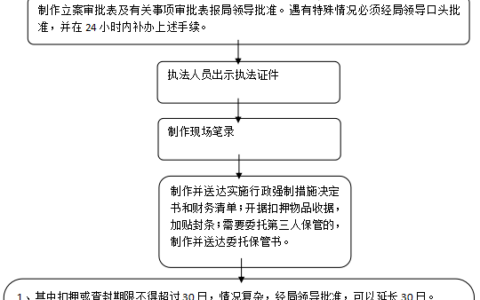 行政强制办理流程图
