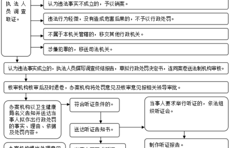 行政处罚办理流程图