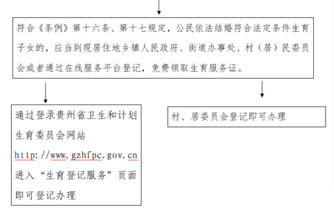 其它类《生育服务证》办理流程图