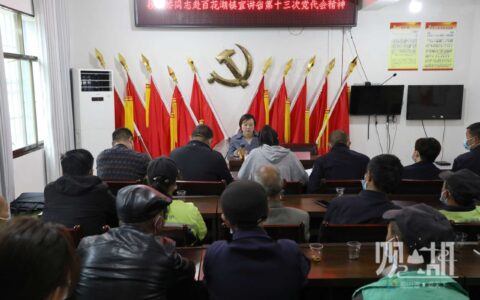 段婉娇赴百花湖镇开展省第十三次党代会精神宣讲并调研换届“回头看”工作