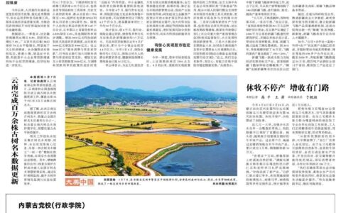 一揽子金融政策提信心稳市场