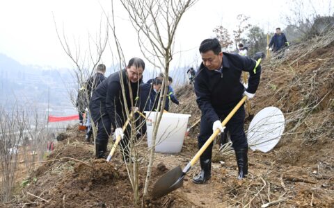 植绿共建推发展 观山湖区政协组织开展义务植树
