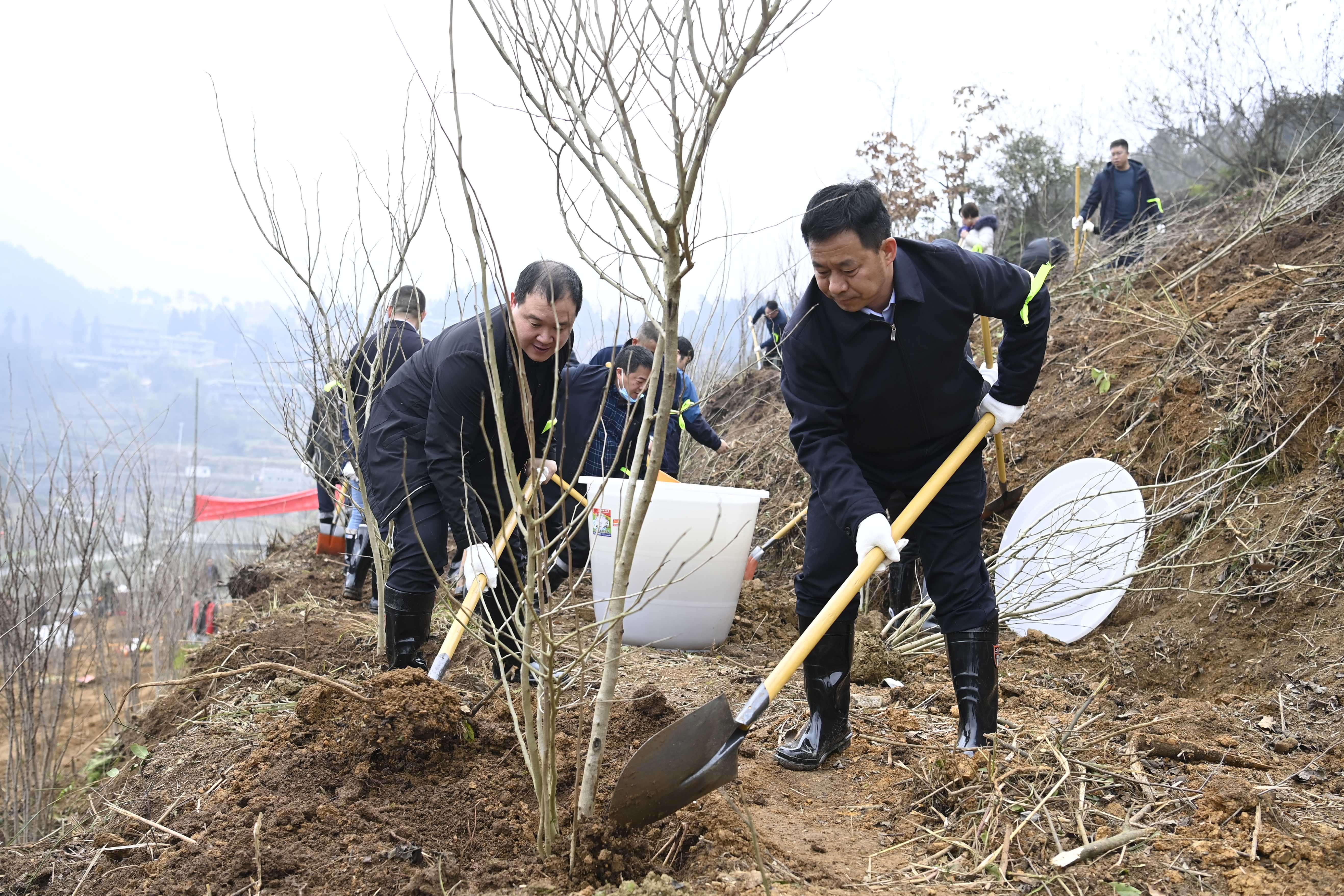 08.jpg 植绿共建推发展 观山湖区政协组织开展义务植树