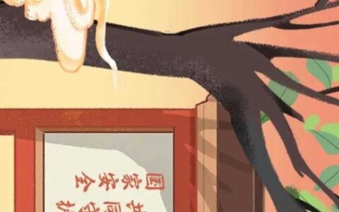 一图看懂国家安全领域全景