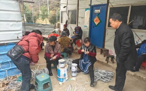 清镇市新店镇银杏村：外出“取经”铺就产业致富路