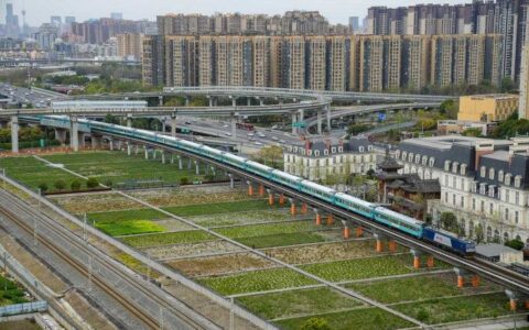 银发旅游专列激发“春日经济”新活力