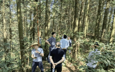 清镇市稳步推进2025年森林草原湿地荒漠化普查外业调查工作