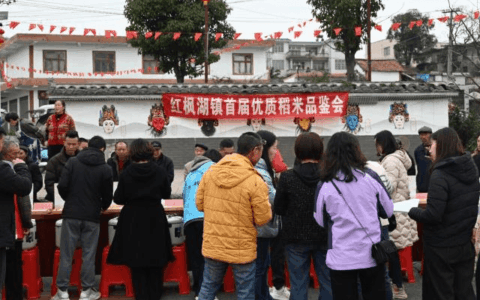 清镇：红枫湖畔稻米争“香” 品出乡村振兴好味道