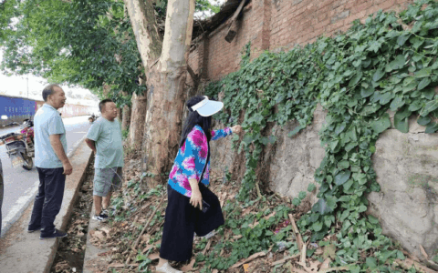 清镇市防治外来入侵物种工作取得显著成效