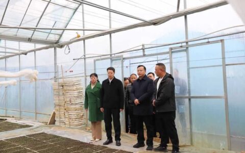 石邦林赴清镇市调研农业产业发展