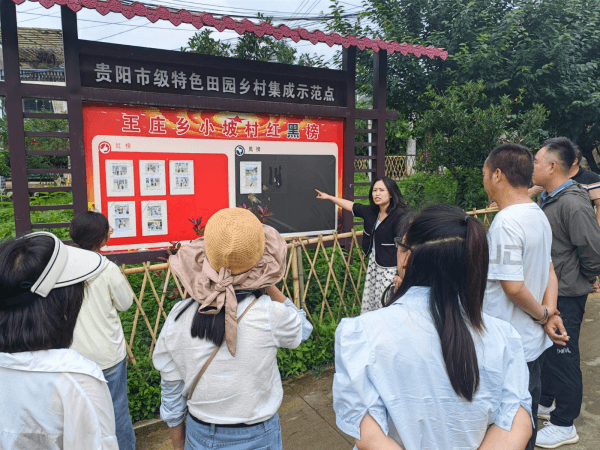 清镇市王庄布依族苗族乡：观摩“晒”实绩 陈述“讲”真招