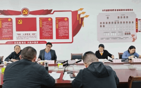 中国自然经济研究院专家来我市交流调研矿业高质量发展