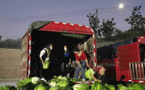 ​ 清镇市农业农村局统一辖区农业企业战线参与防疫保供