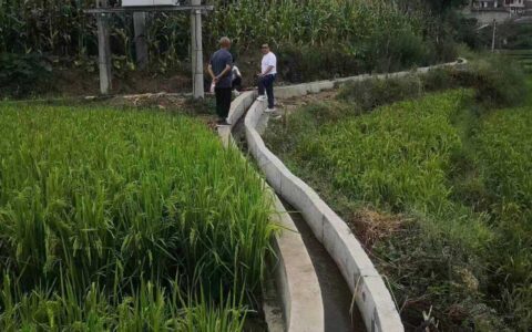 清镇市农田水利灌溉设施“抗旱保苗”成效凸显涉灌面积逾50000亩