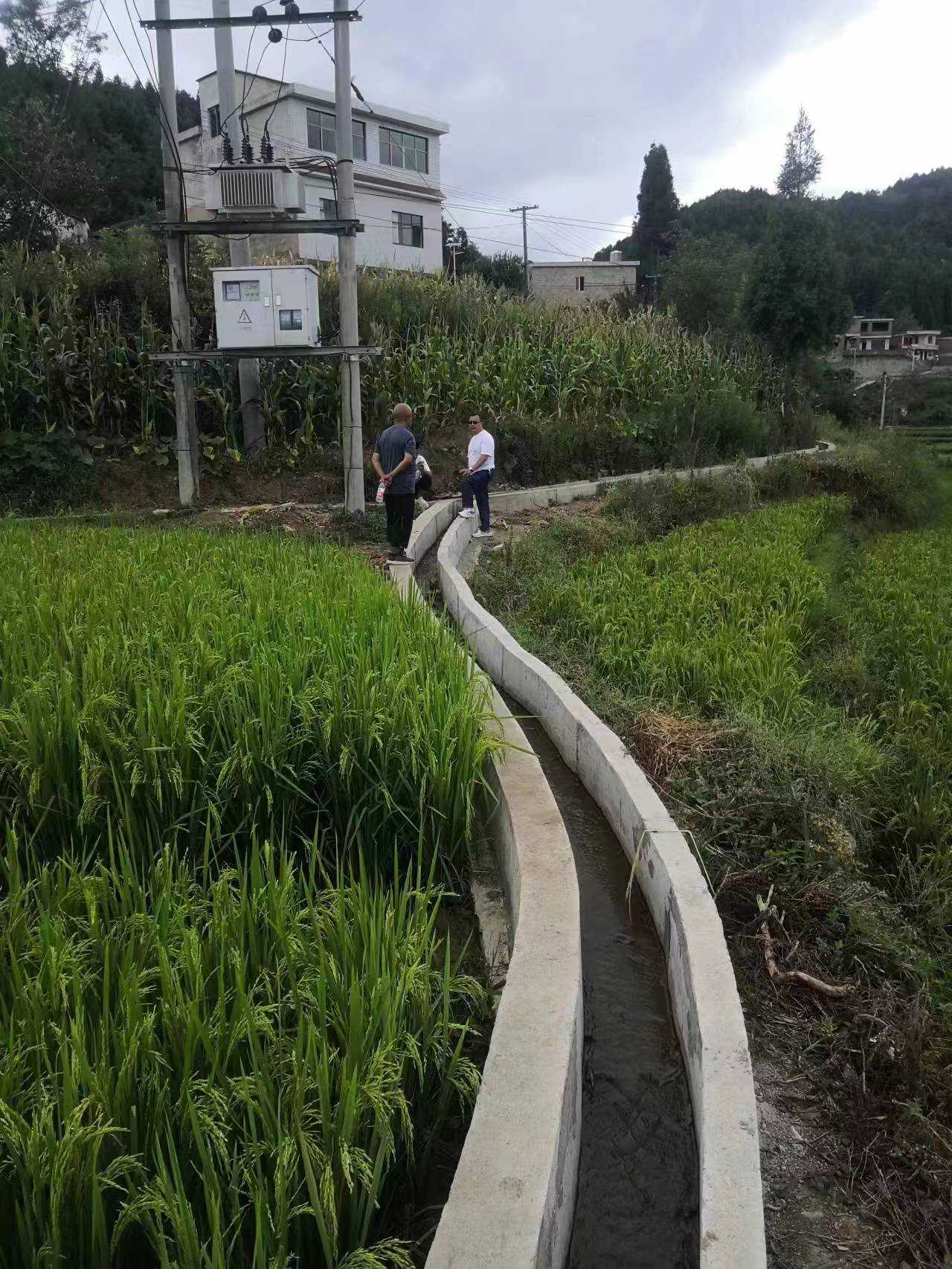 清镇市农田水利灌溉设施“抗旱保苗”成效凸显涉灌面积逾50000亩
