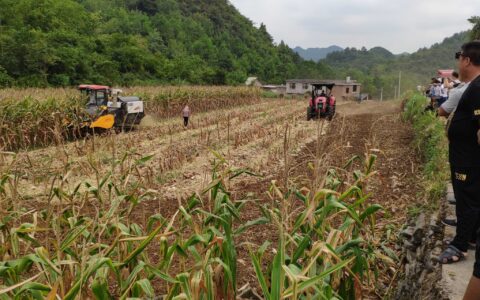 清镇市推行“玉米机收秸秆粉碎还田”助推“三秋”玉米颗粒归仓