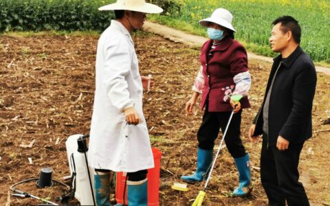 清镇市“植物医生”麦田会诊